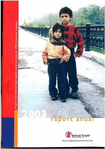 Raportul anual 2003