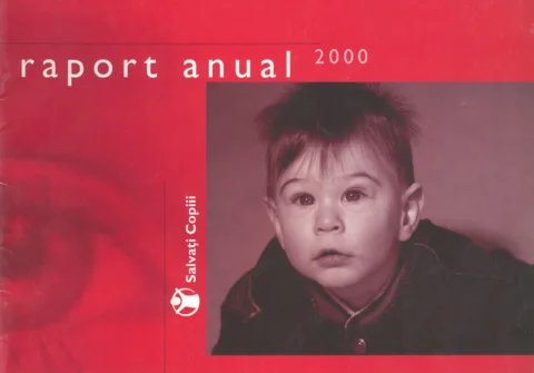 Raport anual 2000