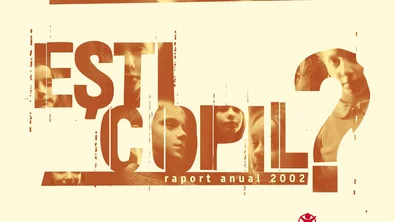 Raportul anual 2002