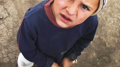 Raportul anual 2006 (română)