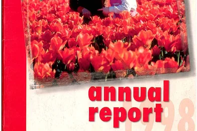 Raportul anual 1998 (english)