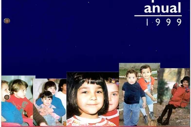 Raportul anual 1999