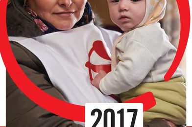 Raportul anual 2017 (engleza)