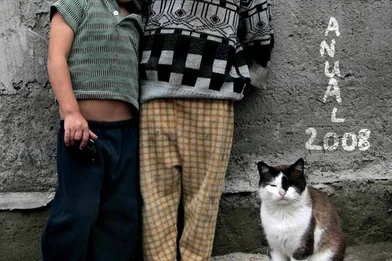 Raportul anual 2008 (română)