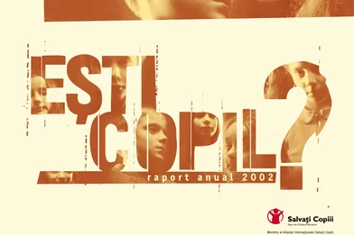 Raportul anual 2002