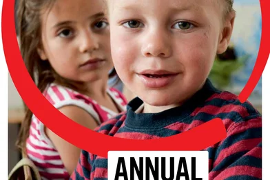 Raportul anual 2015 (engleză)