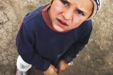 Raportul anual 2006 (română)
